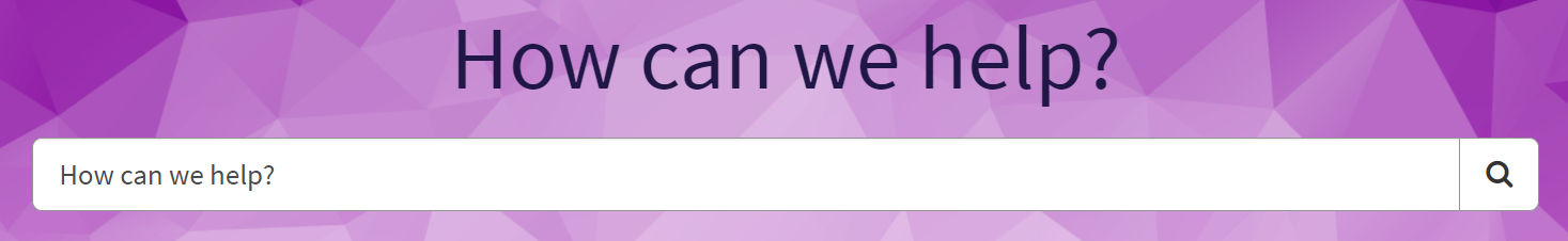 Screenshot of 'How can we help' search bar from support portal